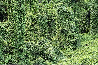 杭州亚运会电竞项目赛程公布 9月24日开赛