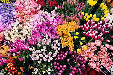 《无主之地4》反向跳票 将于9月12日正式发售